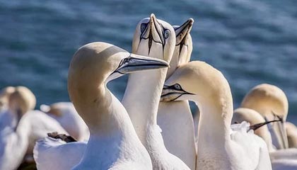 开云体育下载-开云APP——开启智慧生活的新入口