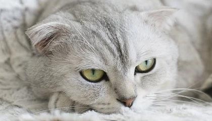 kaiyun.com-十大体育外网平台APP推荐，让你轻松掌握全球体育资讯